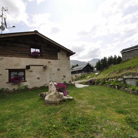 Willa Mountain Chalet Scoiattolo Livigno Zewnętrze zdjęcie