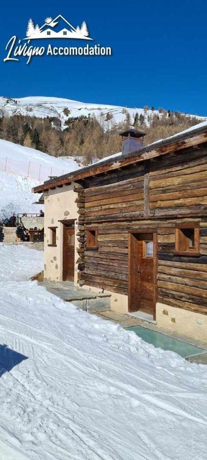 Mountain Chalet Scoiattolo By Livigno Accomodation Zewnętrze zdjęcie