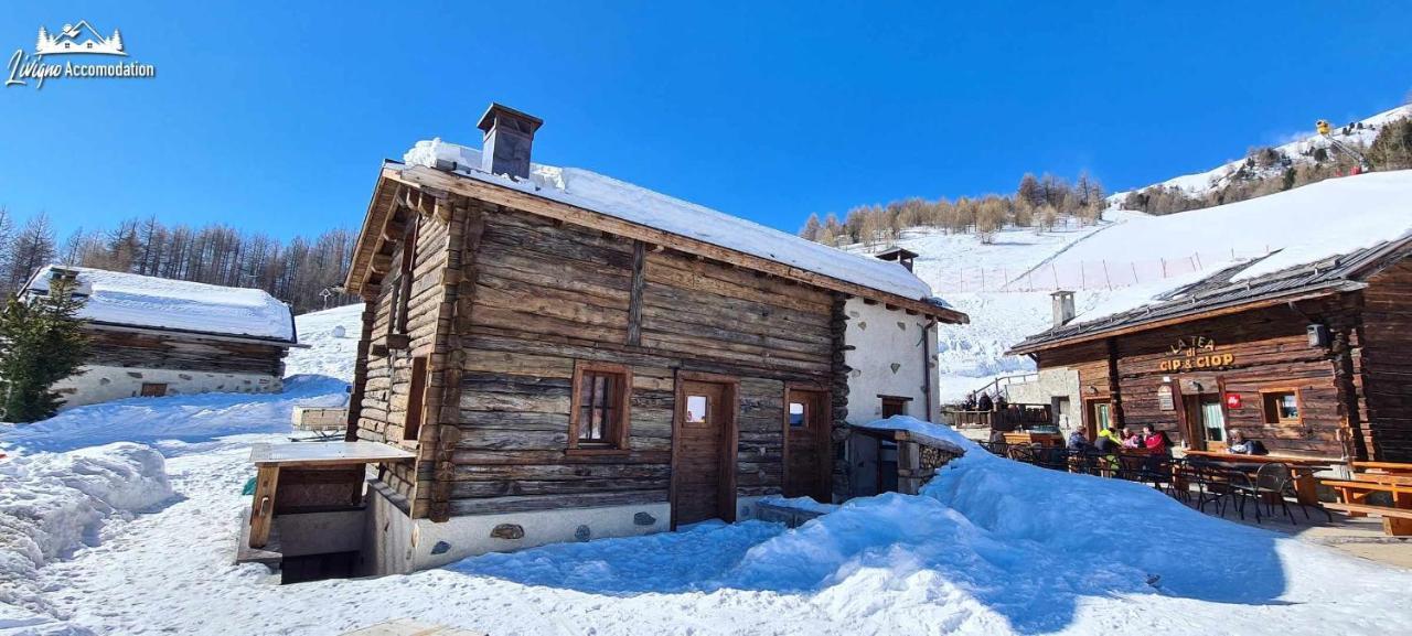 Mountain Chalet Scoiattolo By Livigno Accomodation Zewnętrze zdjęcie