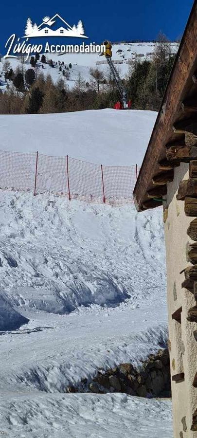Mountain Chalet Scoiattolo By Livigno Accomodation Zewnętrze zdjęcie