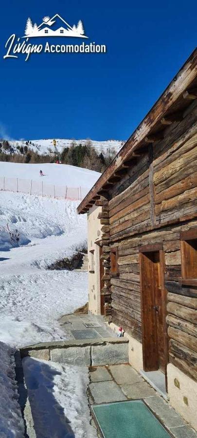 Mountain Chalet Scoiattolo By Livigno Accomodation Zewnętrze zdjęcie