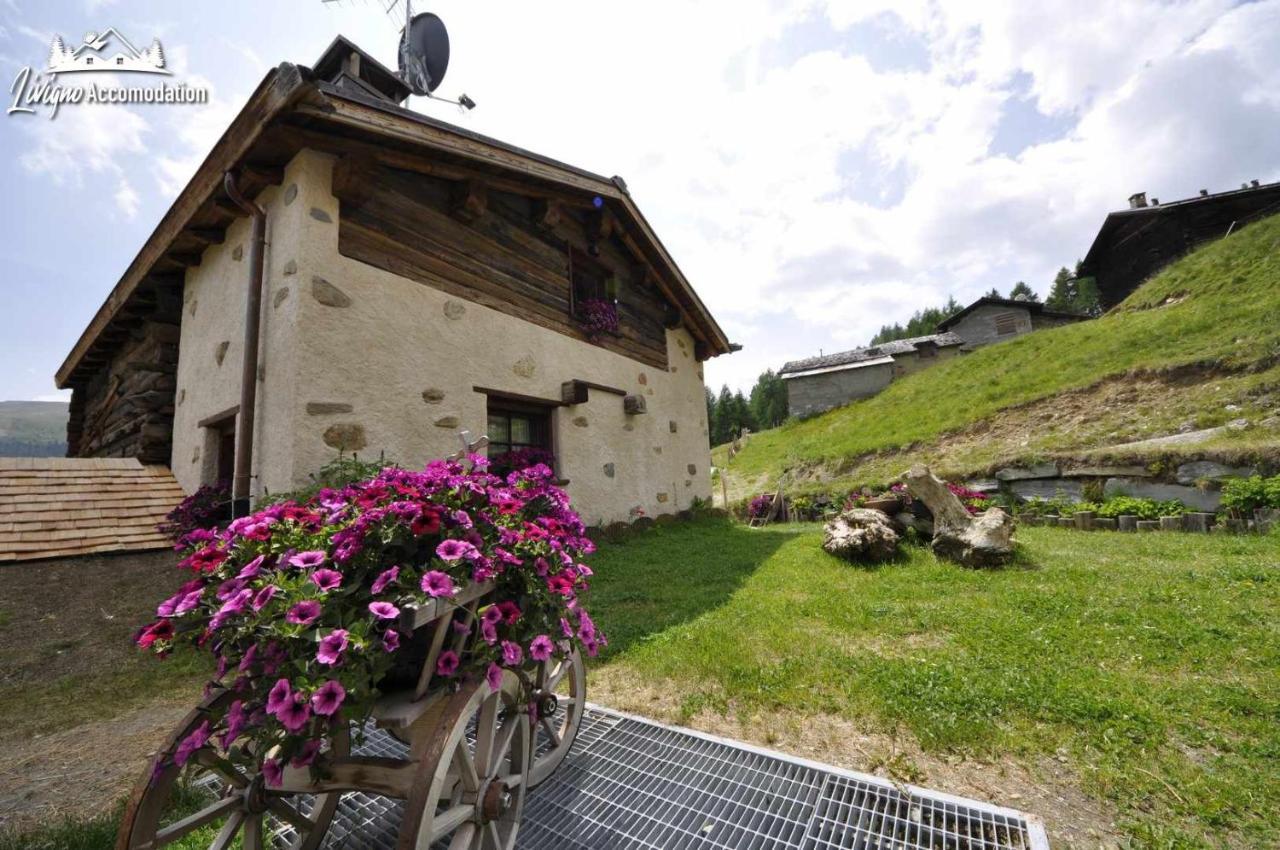 Mountain Chalet Scoiattolo By Livigno Accomodation Zewnętrze zdjęcie