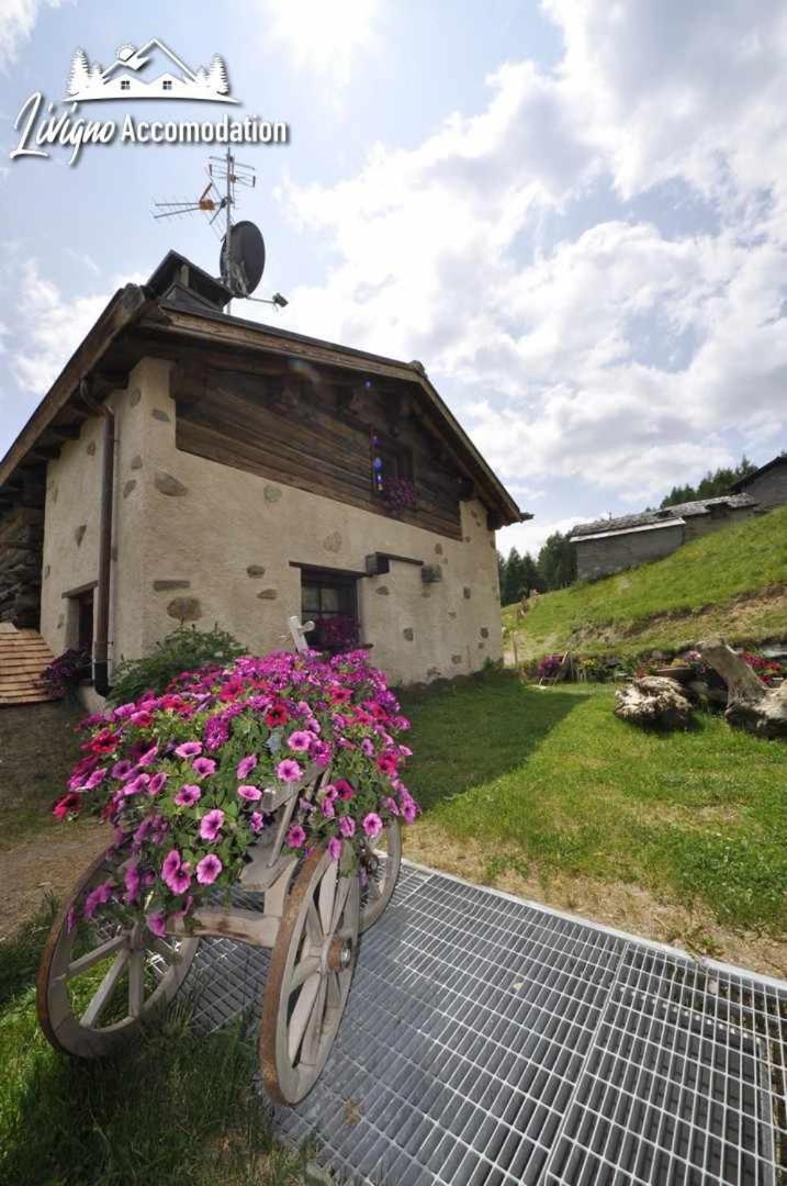 Mountain Chalet Scoiattolo By Livigno Accomodation Zewnętrze zdjęcie