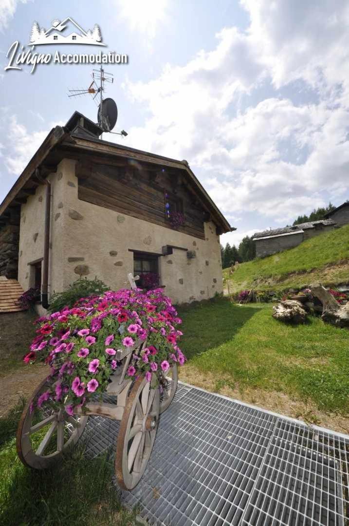 Willa Mountain Chalet Scoiattolo Livigno Zewnętrze zdjęcie