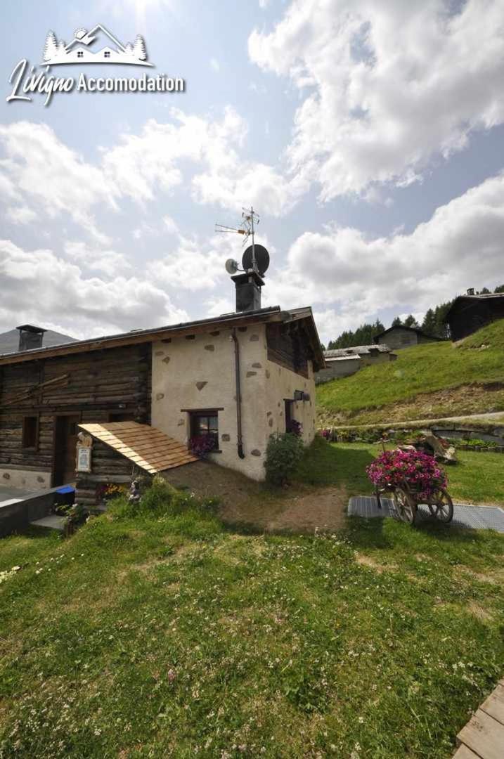 Willa Mountain Chalet Scoiattolo Livigno Zewnętrze zdjęcie