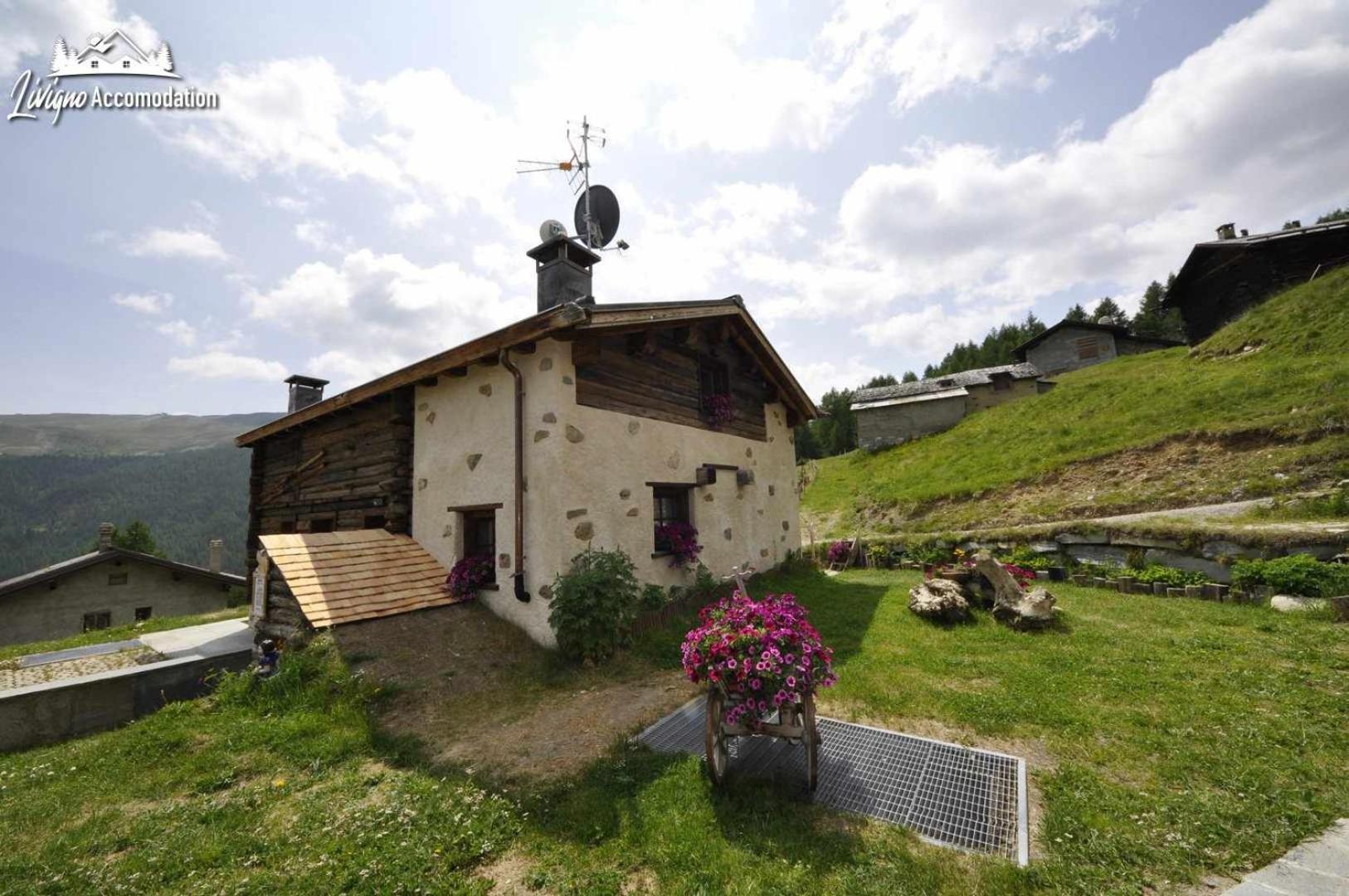 Mountain Chalet Scoiattolo By Livigno Accomodation Zewnętrze zdjęcie